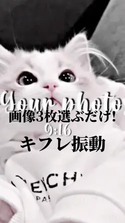 久しぶりの編集で下手やけど使ってねー