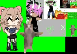 chain