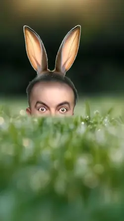 Peek a boo