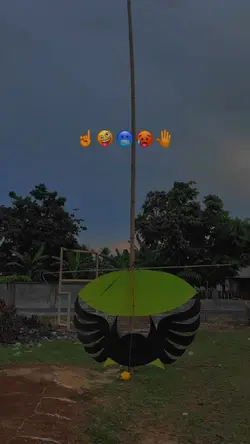 Ram raman 