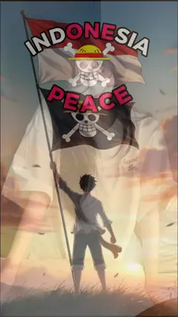 bendera one piece 