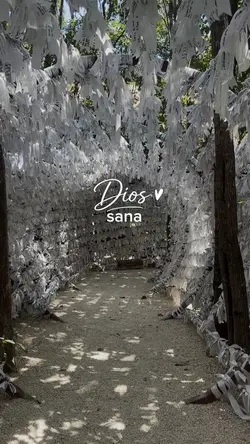 Dios sana🪽🎧🤍