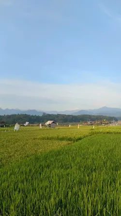 nyinematik santai