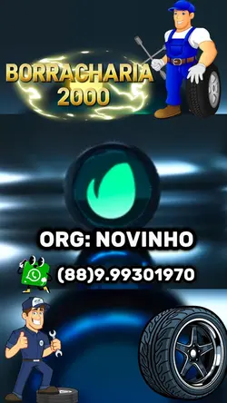 LOGO BORRACHARIA 