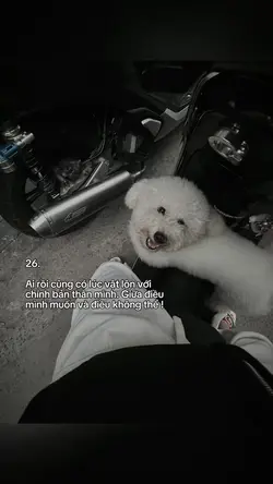 Caption + Màu