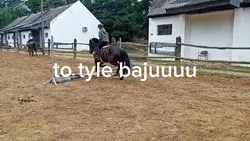 Wasylek