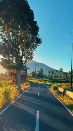 Aesthetic HD