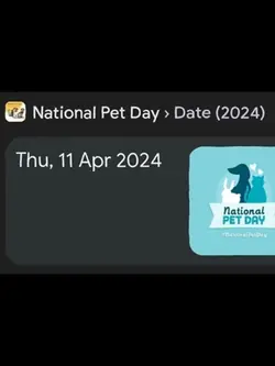 Pet day 