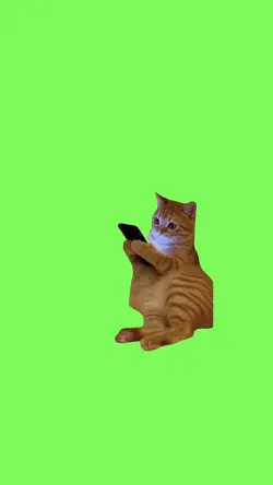 Cat screaming phone