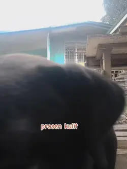 asong makulit
