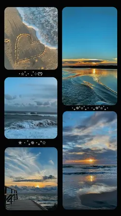 1 video & 4 photos 