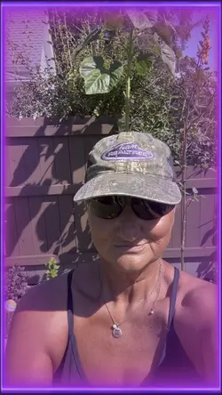 Summer gardening 