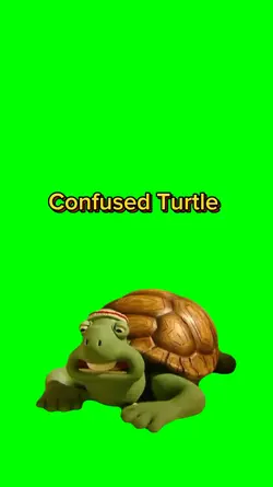 Confused Turtle