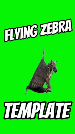Flying Zebra