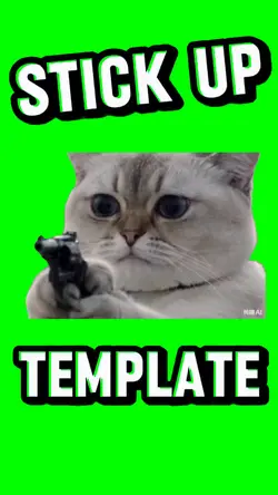 CAT STICK UP
