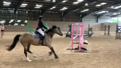 shes my alibi 🏇