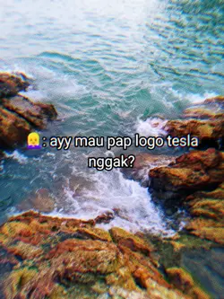 PAP LOGO TESLA