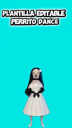perrito dance