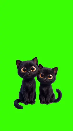 Cat/Gato