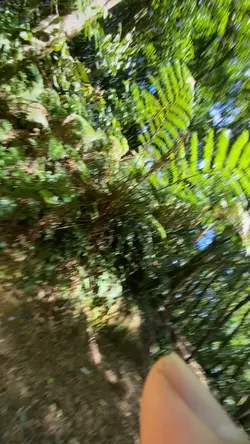 kamu satu 