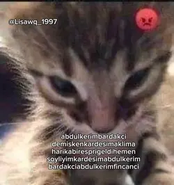 abdulkerimbardakci