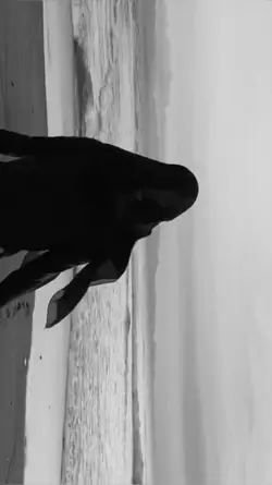 black white 