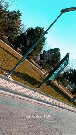 tik tok elmas_2020
