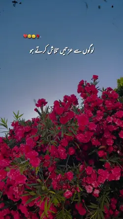 Bura Sochte hain