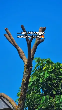 bahan sw