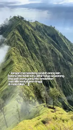 Quote islami