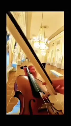 Violin trend  