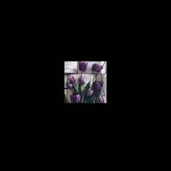 so like tulip flower