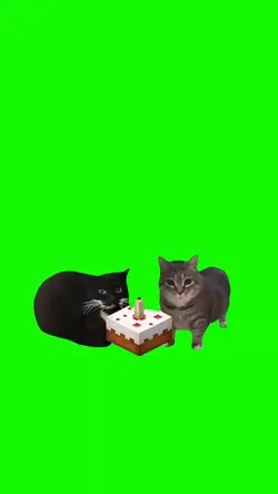 HAPPYBIRTHDAY CATS 