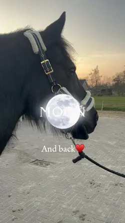 Ily❤️