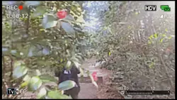 Falling in love 