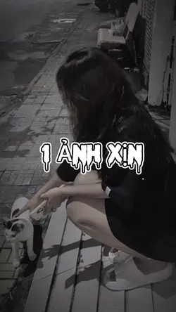 Mẫu 1 ảnh 