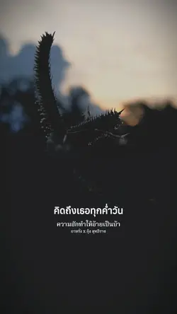 คิดถึงเธอทุกค่ำวัน