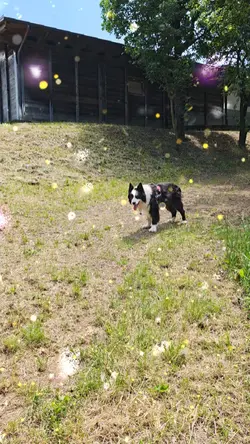 Summer walk