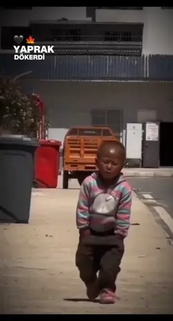 Yeni şablon 