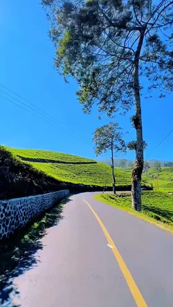 6 clips filter HD