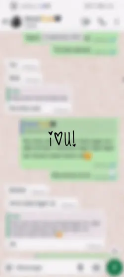 WhatsApp Chat video