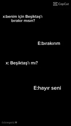 Şablon bjk