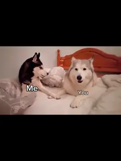 Tampuhan Convo