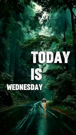 TODAY IS WEDNESDAY 