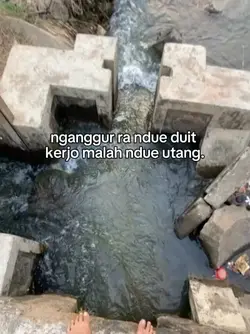 ngene 