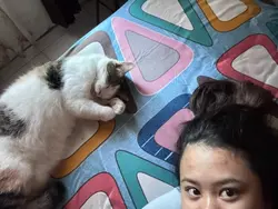 kucinggg