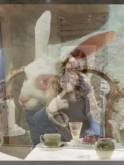 White rabbit