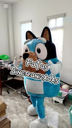 Fotos Sincronizadas 