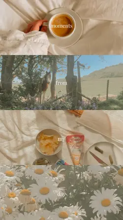Moments split screen