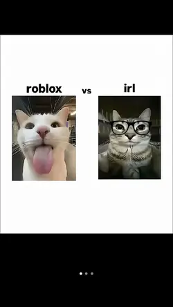 roblox vs irl